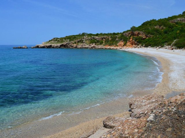 Buljarica
